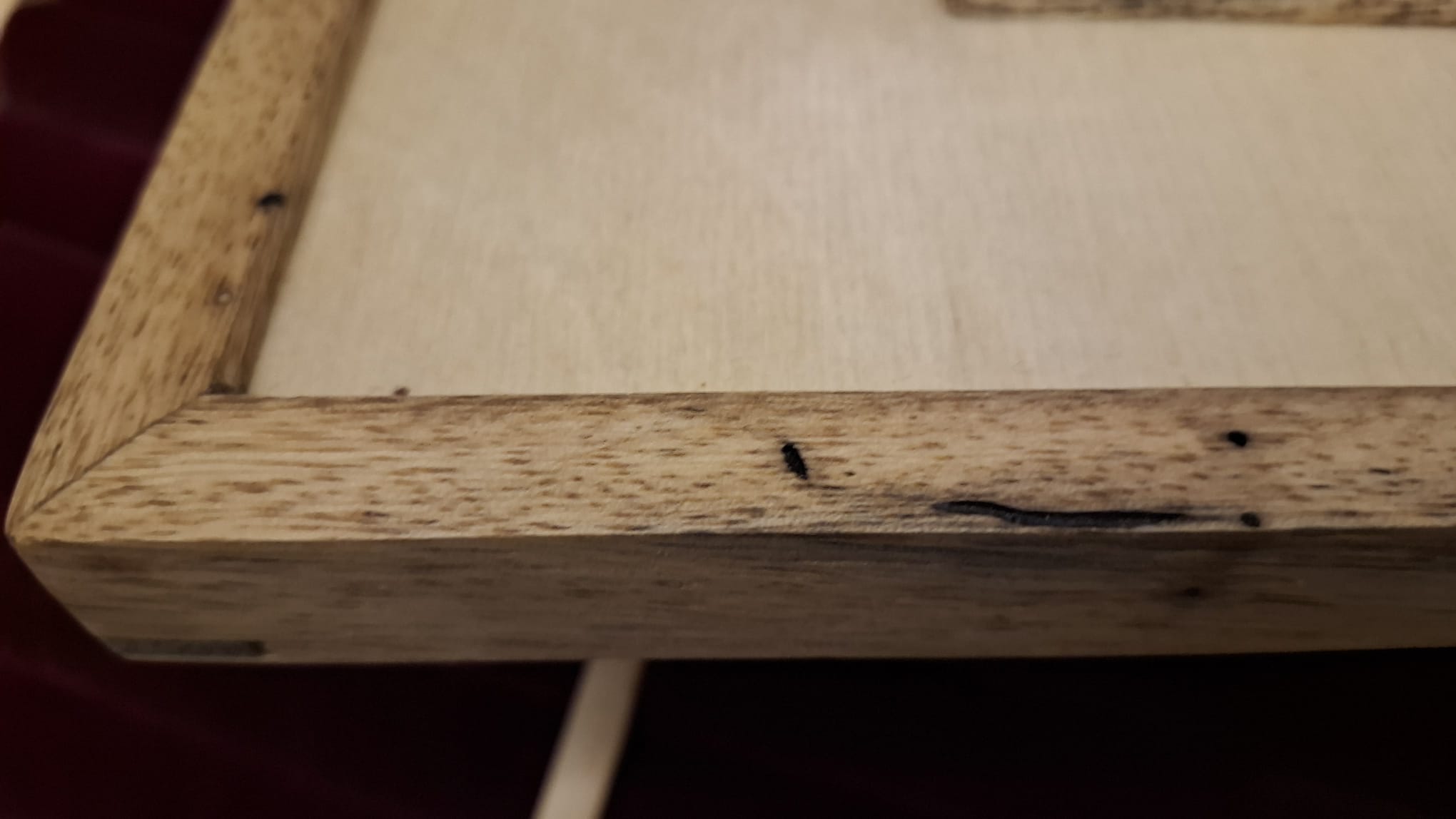 Mücevher Kutusu (Orman) - Resim 4